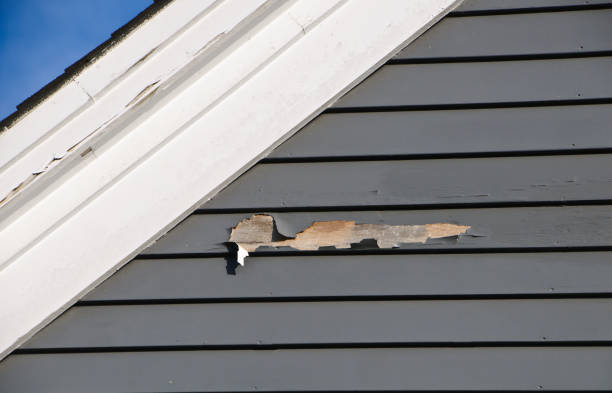 Best Residential Vinyl Siding Installation  in Apple Creek, OH
